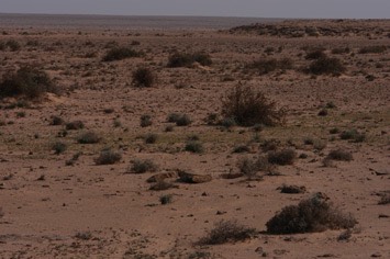 006 WA04B 00023