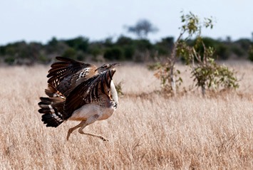 190---MEB 4711---cropped