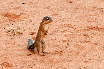 207---MEB 4912---cropped