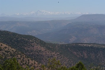 391 WA04R 04256