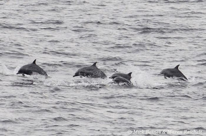 c-MEB 0182-cropped-copy