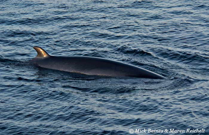 DSC 9065-sharpened-copy