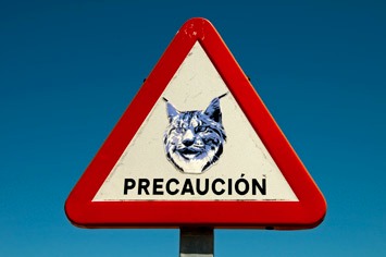 Links---MAR 4214