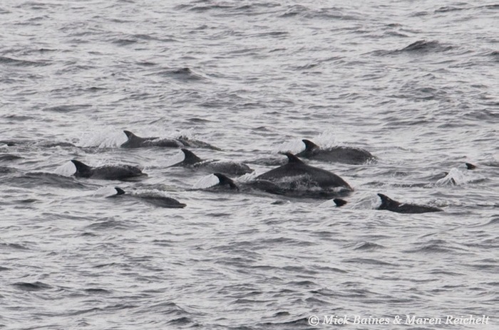 MAR 2064-cropped-copy