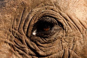 MAR 2657---cropped-2