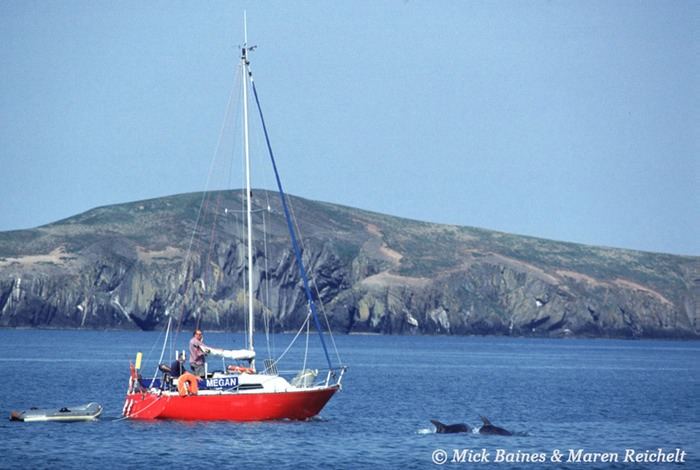 Megan-&-dolphins-copy