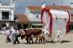 Romería 2013 - Pilgrimage to El Rocío