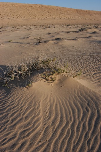 WA04B 02681